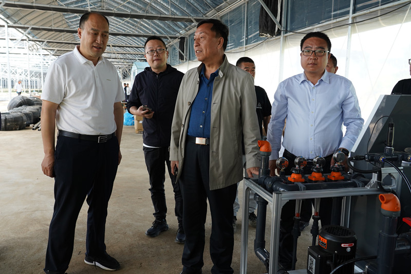 秦州区坚持五原则实施2022年化肥减量增效项目