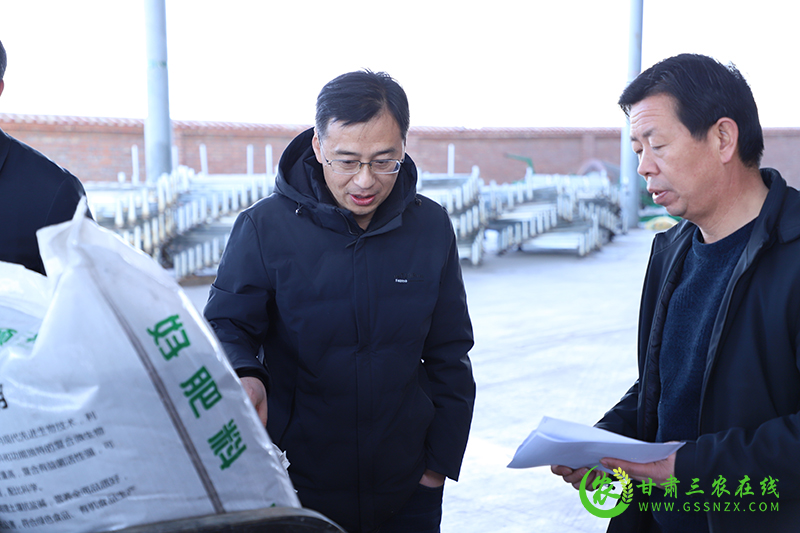 甘州区今年构建多元化农技推广体系普及先进技术