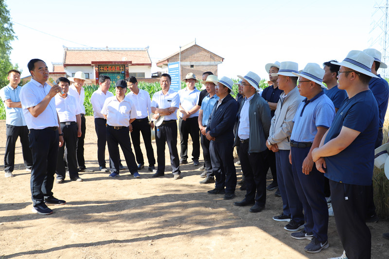 灵台县在冬小麦上建设高标准农业科技示范基地