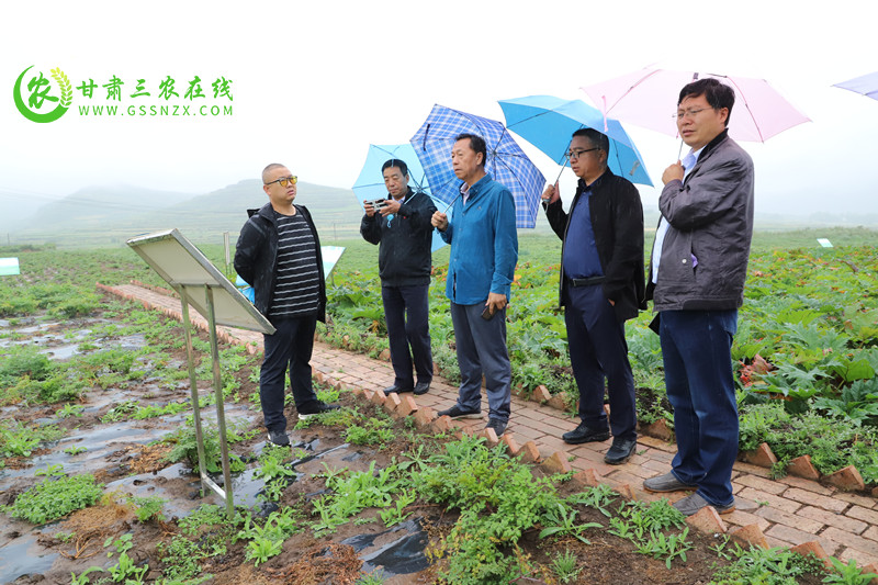 岷县坚持生产与生态统筹推进2022年化肥减量增效项目实施​