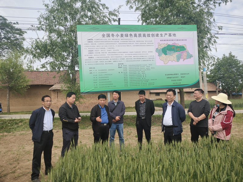 灵台县将提升基层农技推广人员素质纳入项目绩效考评