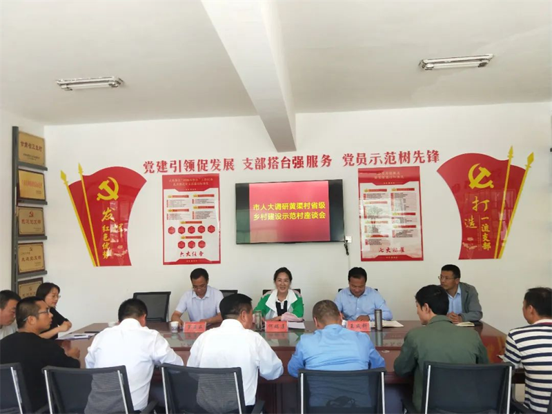 庆阳市人大常委会副主任何瑞莲率队调研华池省级示范村乡村建设工作