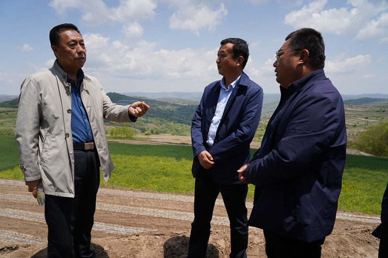 清水县2022年大豆绿色高质高效行动创建目标确定