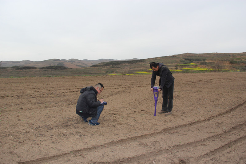 秦州区不断完善测土配方施肥基数数据库提高肥效利用率
