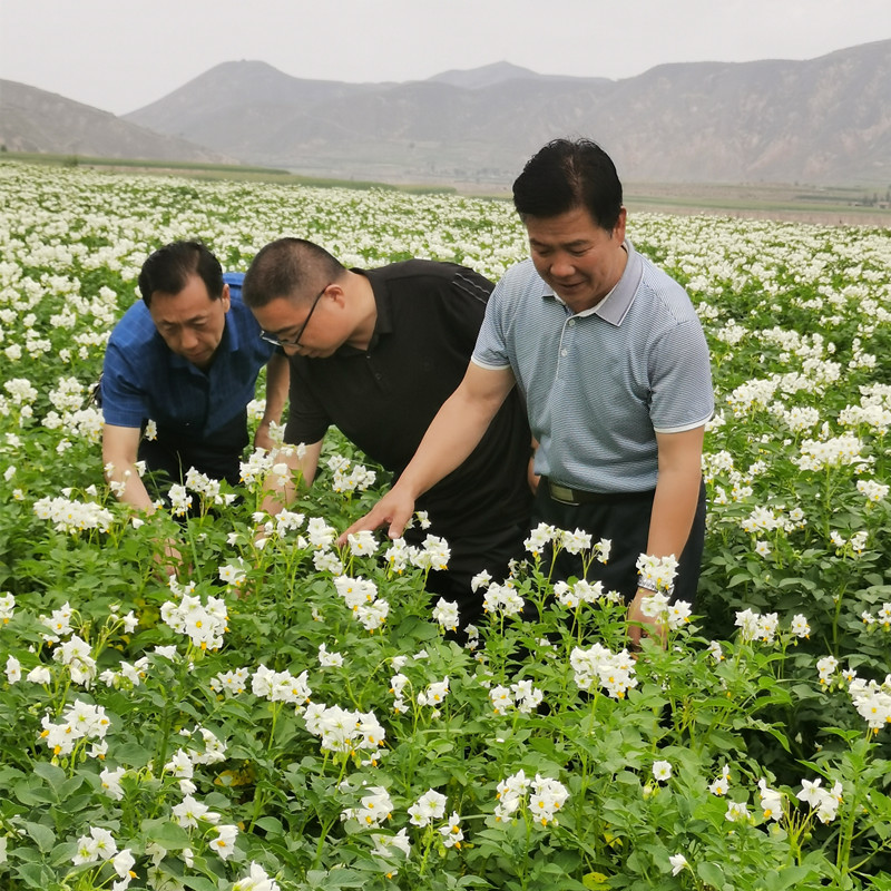 安定区强化宣传培训促进化肥减量增效技术落地