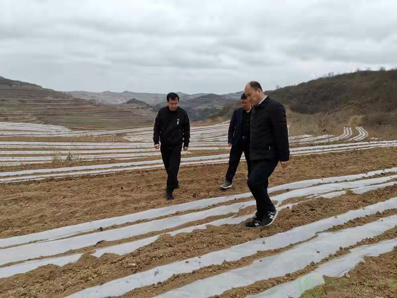 微信图片_20220401151838.jpg