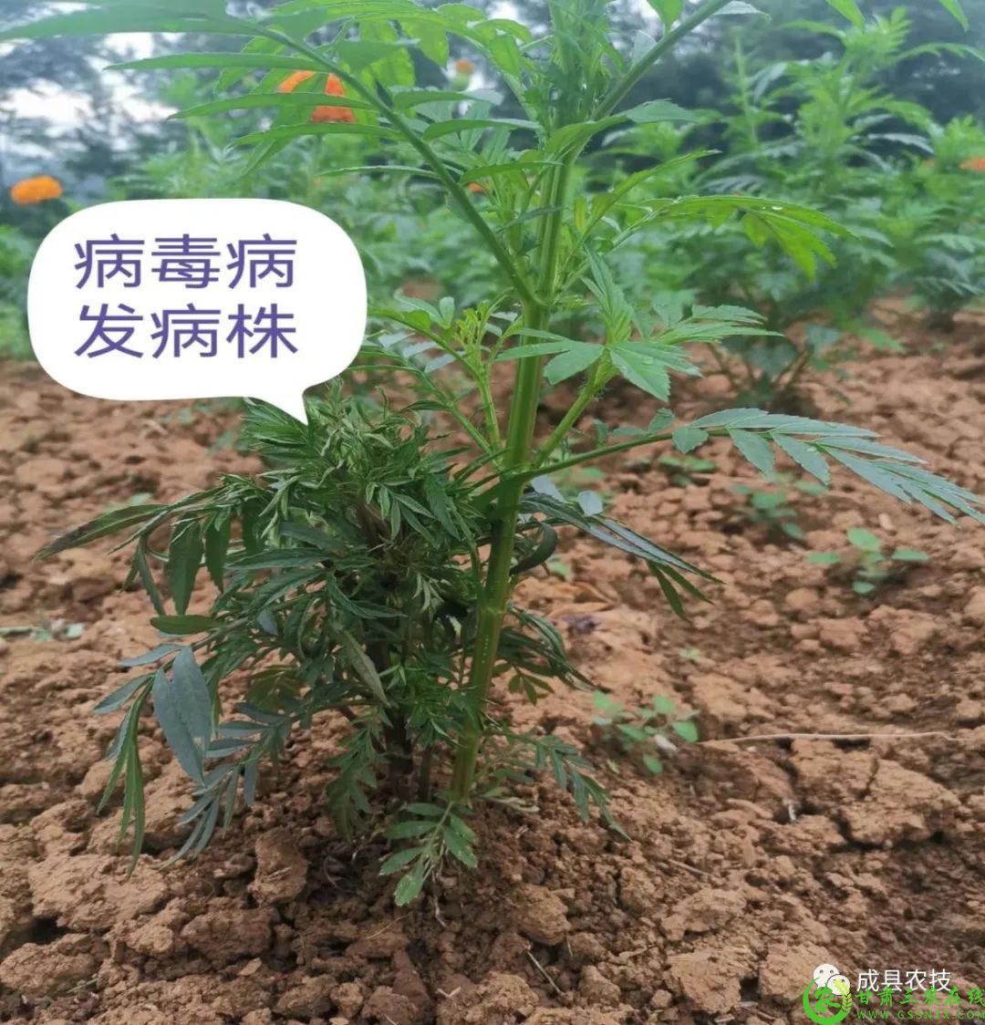 微信图片_20220808173631.jpg