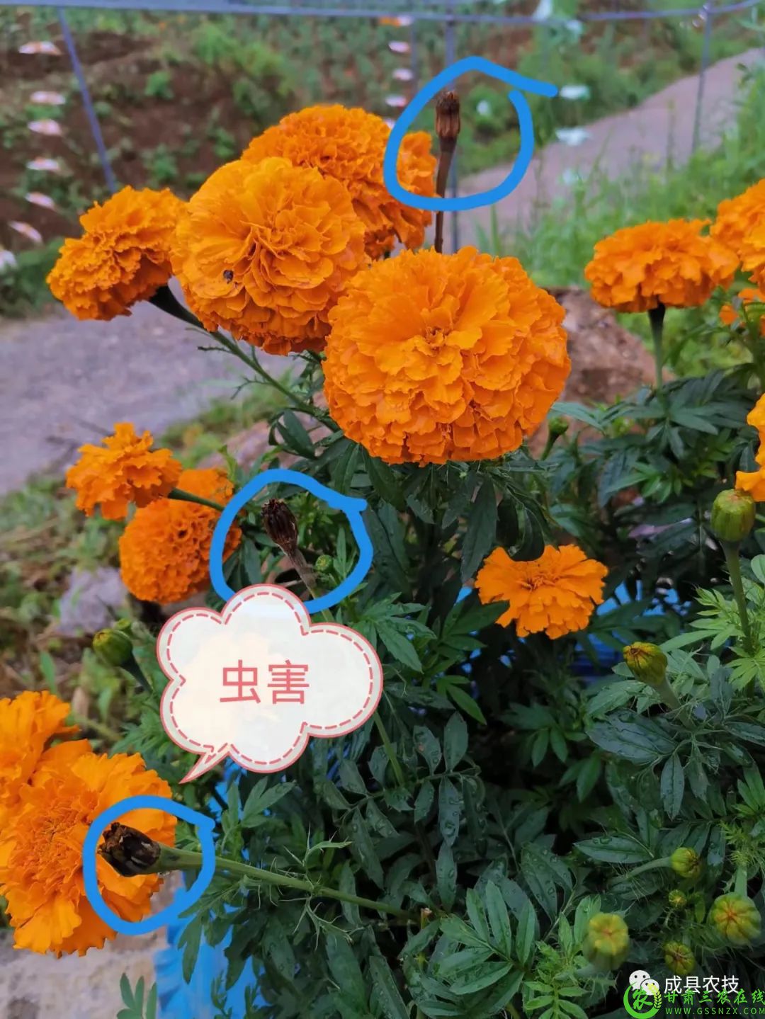 微信图片_20220808173645.jpg