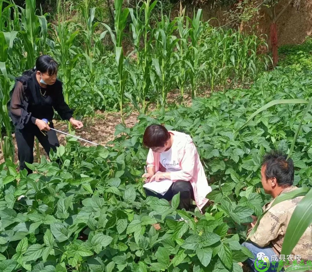 微信图片_20220908184134.jpg