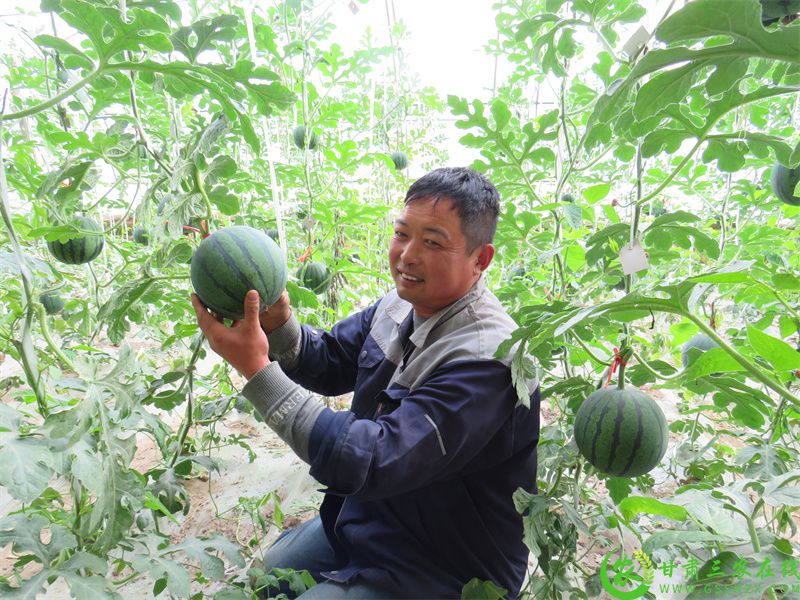 种瓜大户.JPG