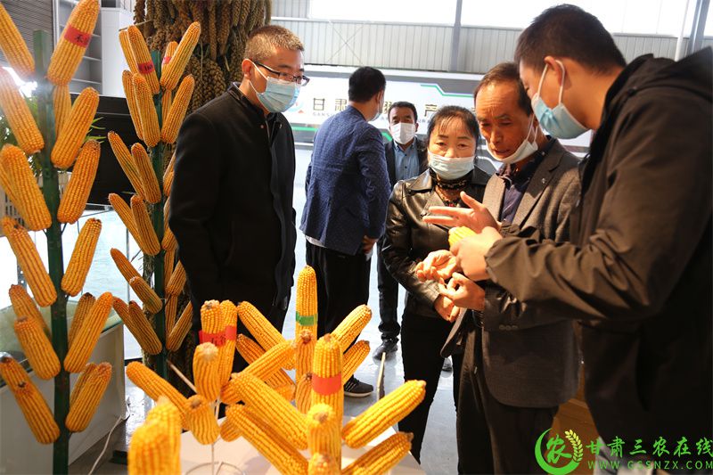 现场讲解（孙媛 摄）.JPG