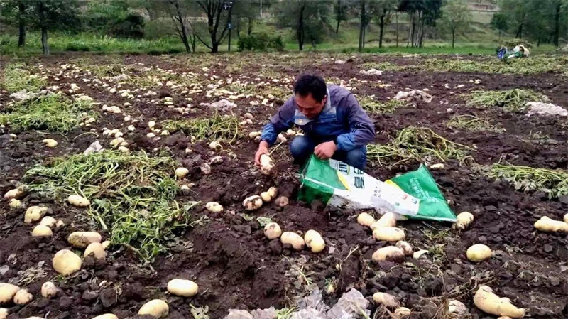 微信图片_20220924191411.png