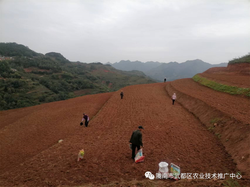 微信图片_20220924194606.png