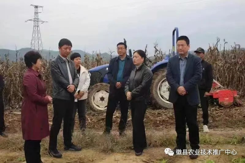 微信图片_20221031174131.jpg