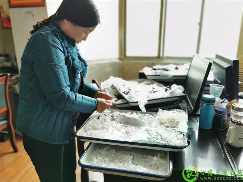 省级地膜残留监测清洗晾晒.jpg