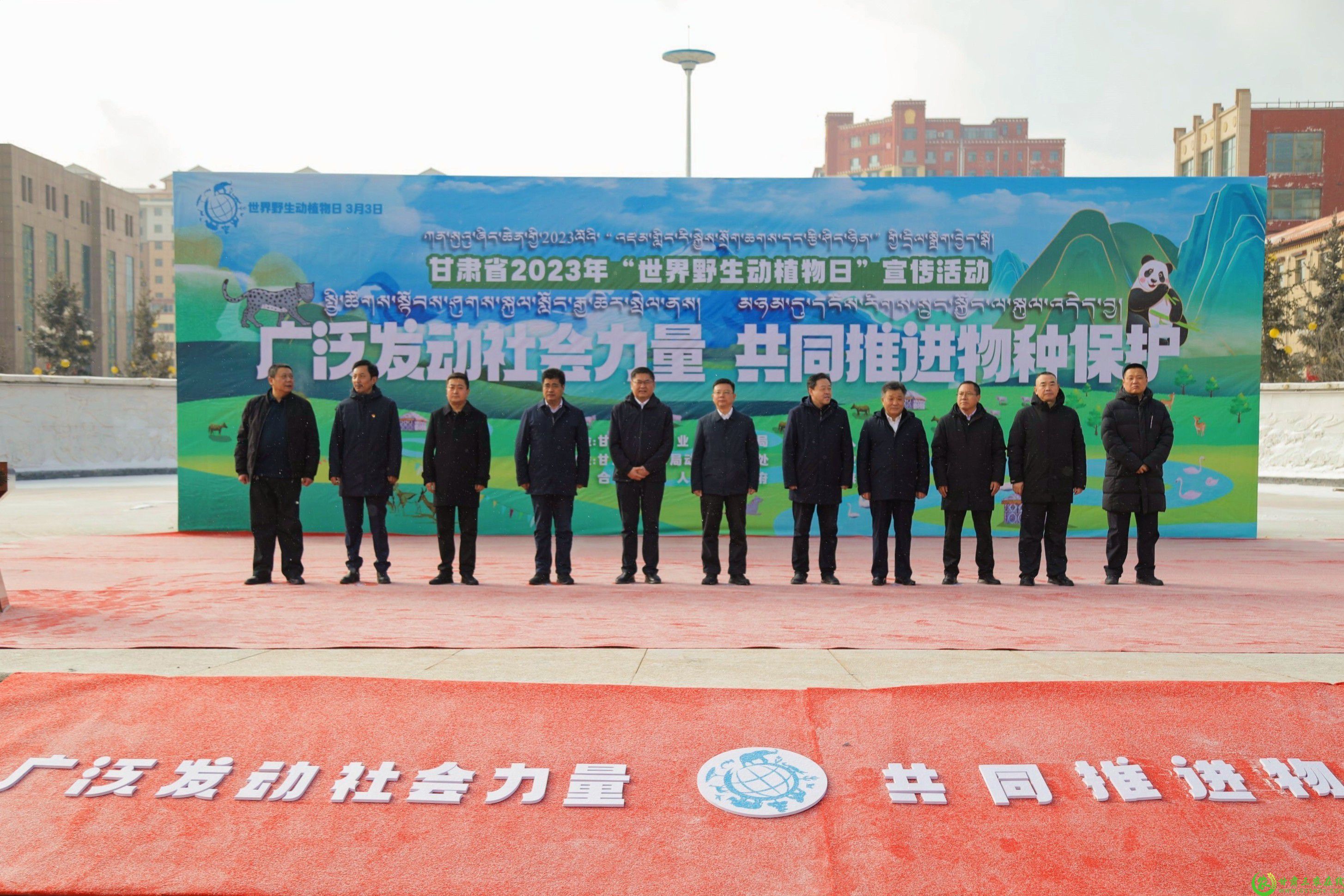 b2fac1ad0f9d408c9f2198da9274f464.jpg
