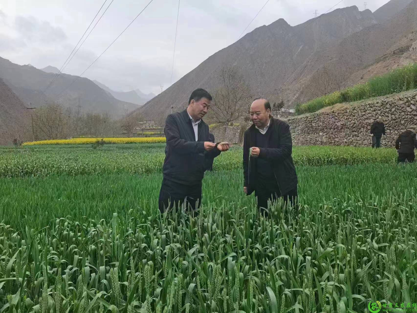 微信图片_20230323154425.jpg