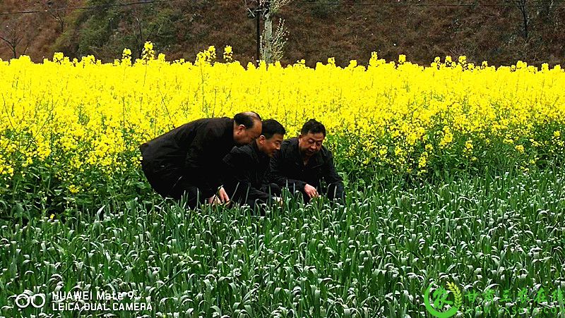 微信图片_20230323154434.jpg