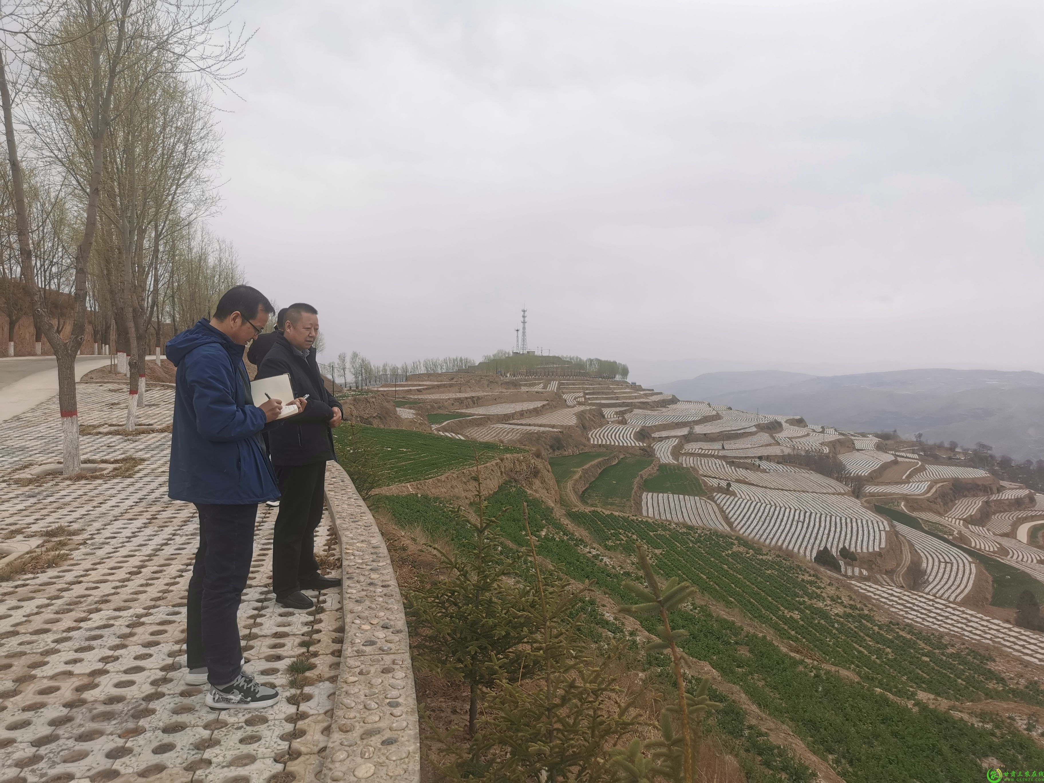 1680246478723084126.jpg IMG_20230330_101944.jpg