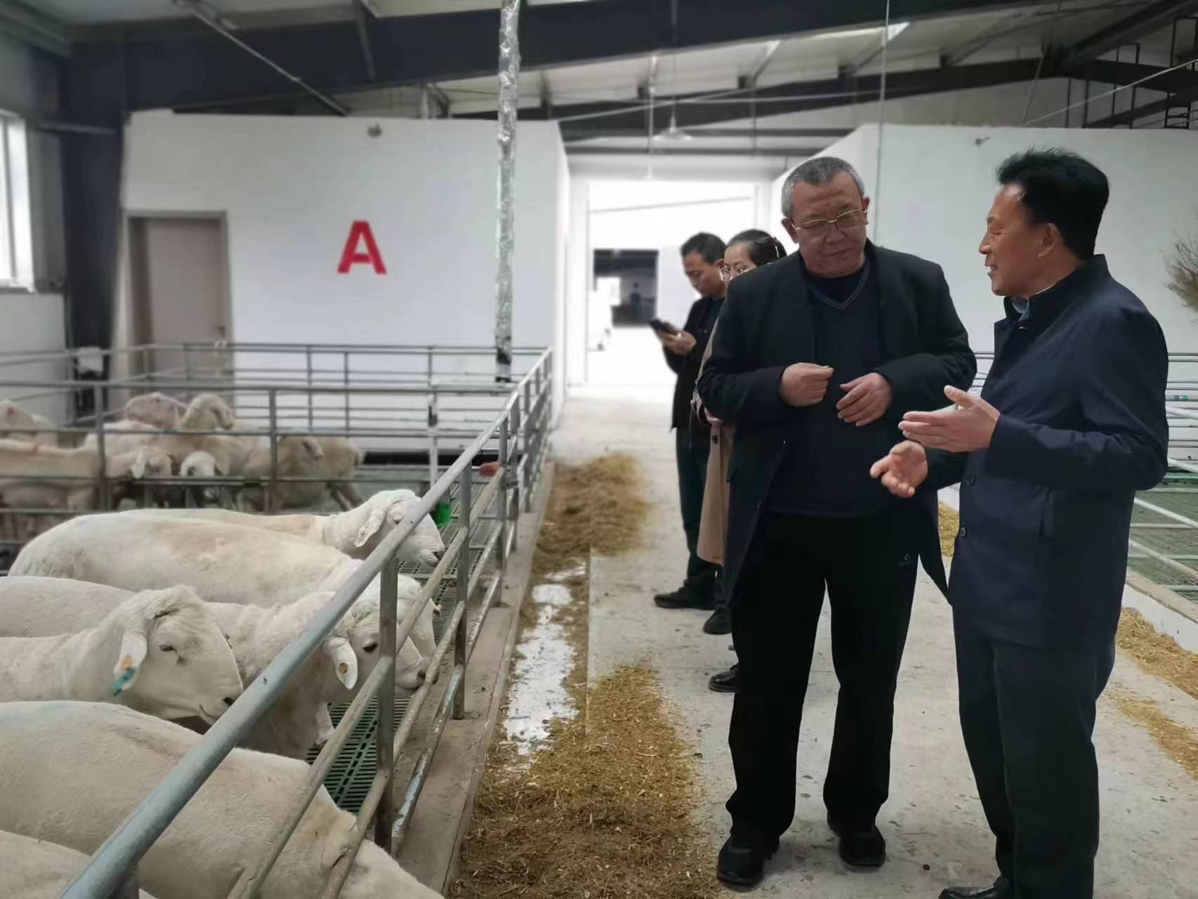 微信图片_20230509154255.jpg