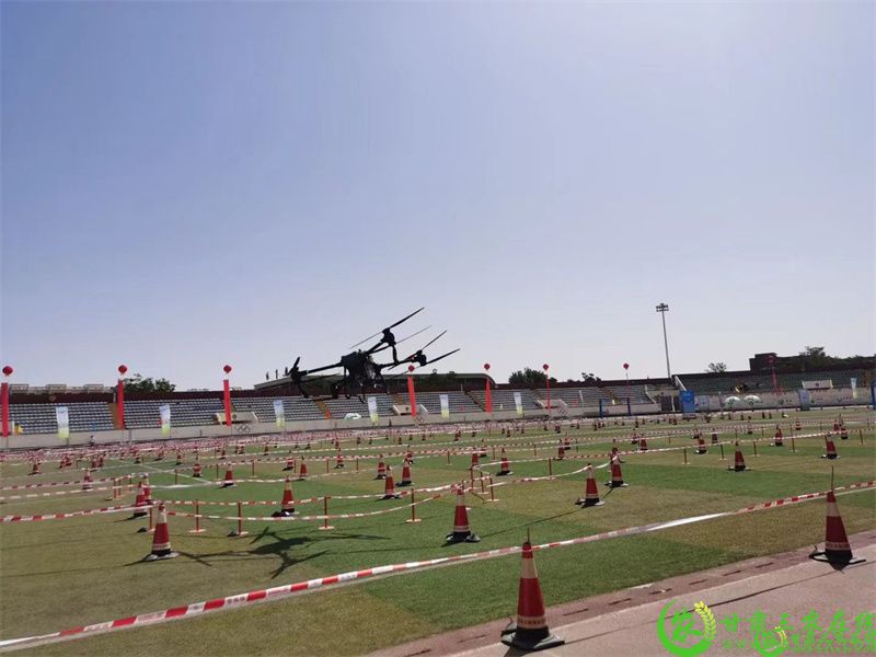1122.jpg