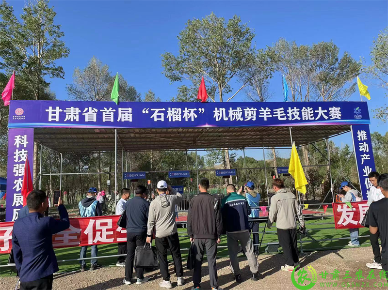 图片7.png