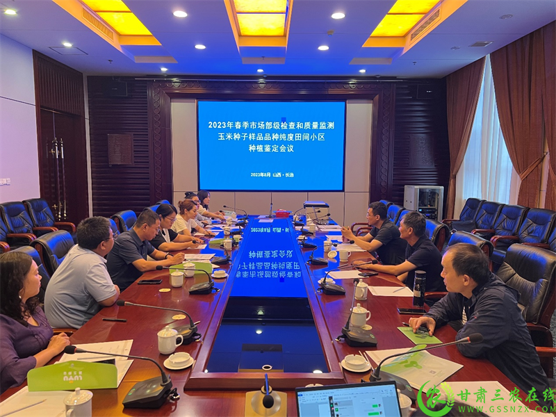 图片13.png