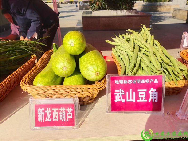 微信图片_20230801180257.jpg