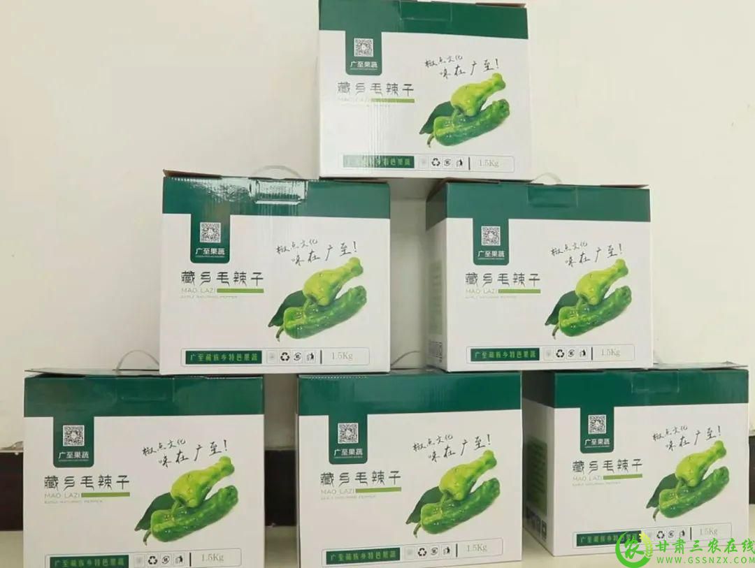 瓜州县广至藏族乡卓尼种植农民专业合作社的毛辣子1.jpg