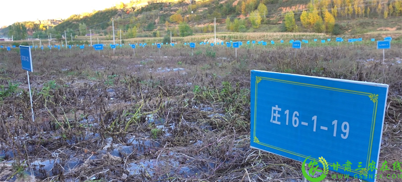 微信截图_20231101095439.png