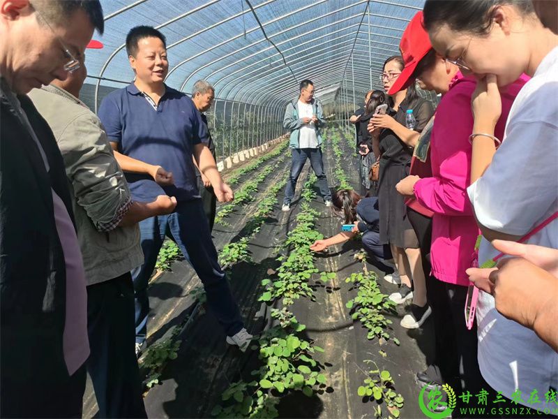 微信图片_20231213110907.jpg