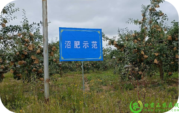 图片11.png