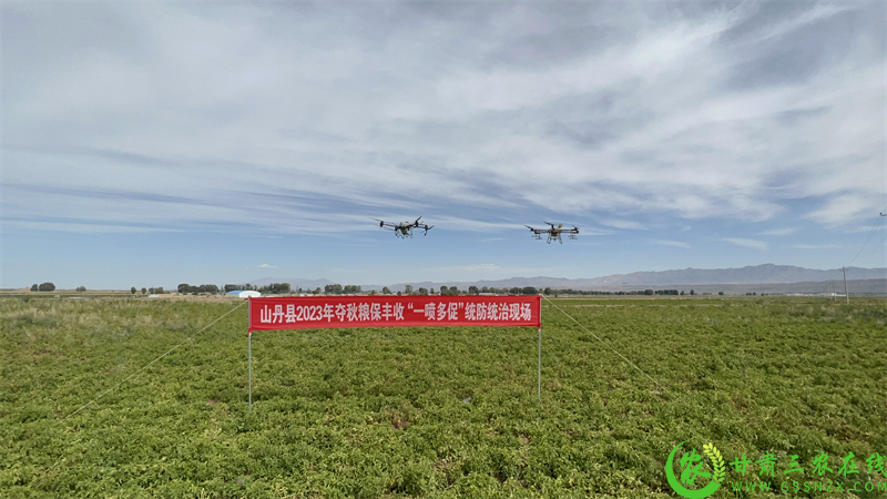 图片1.png998055.png