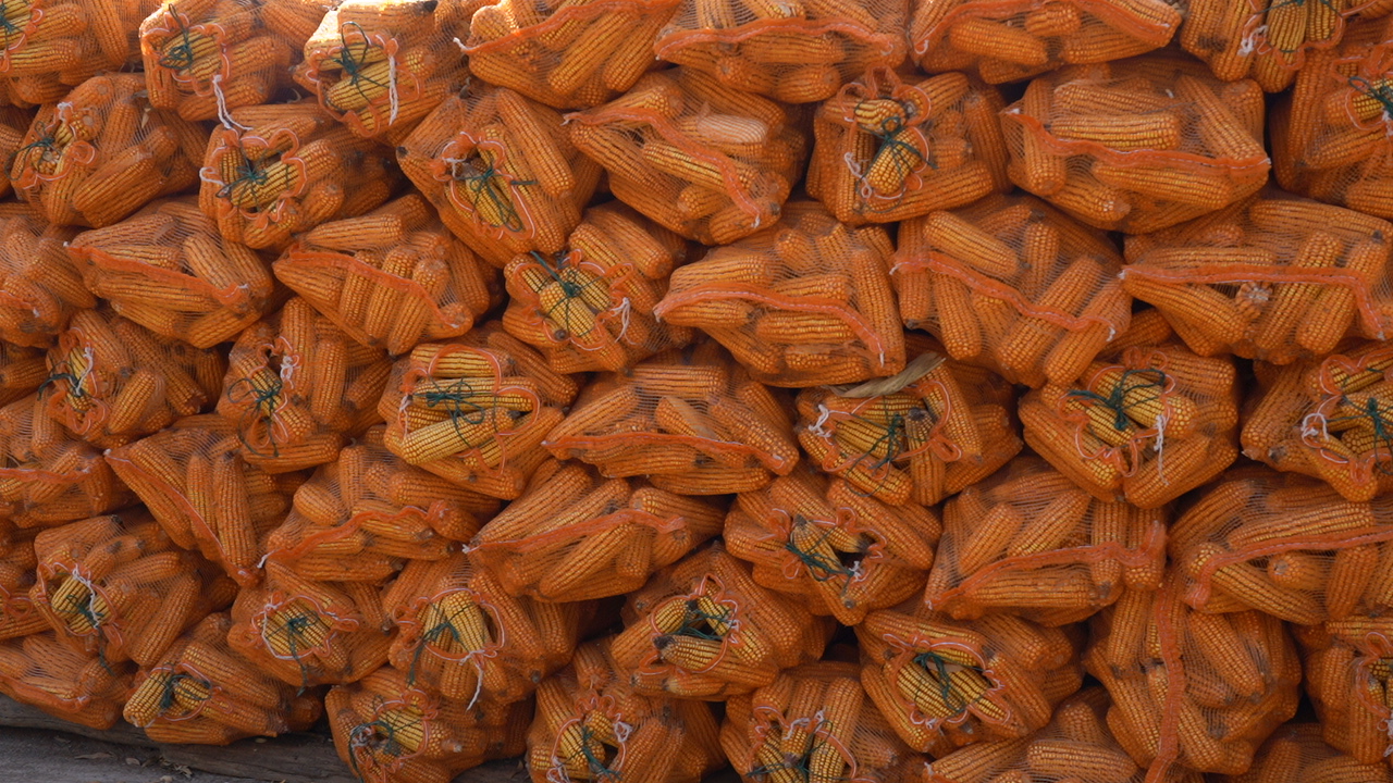 C0848T01.JPG