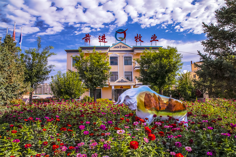 图片1.png441.png