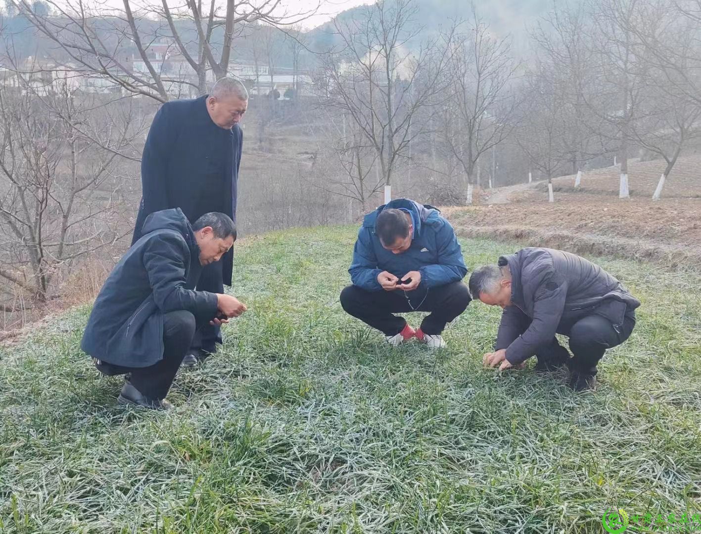 微信图片_20240106122536.jpg