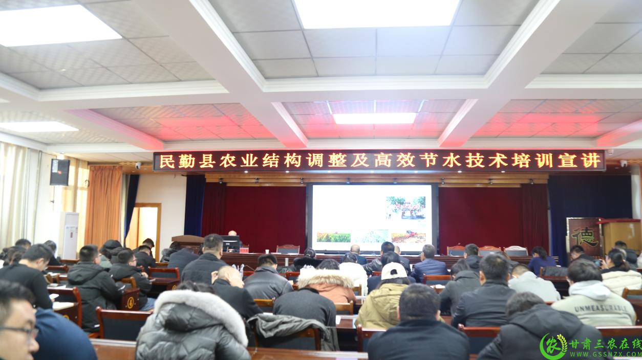 图片1.png221.png
