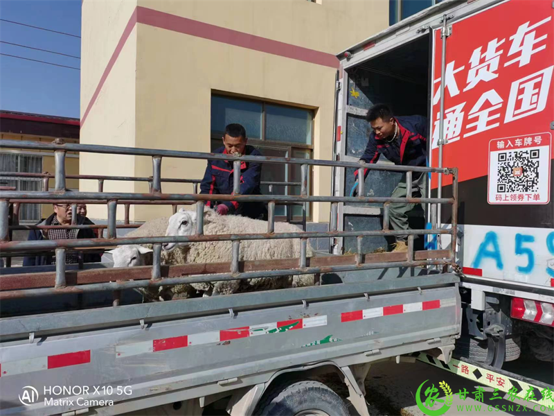 图片1.png44.png