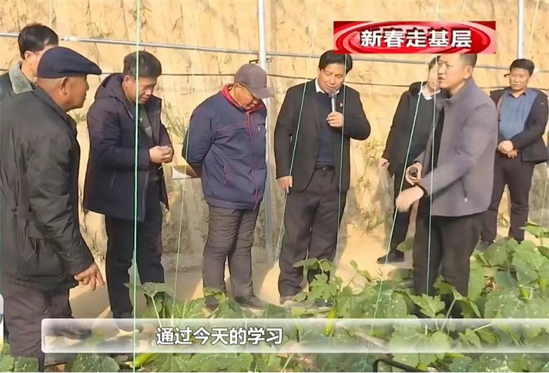 图片1.png3313.png