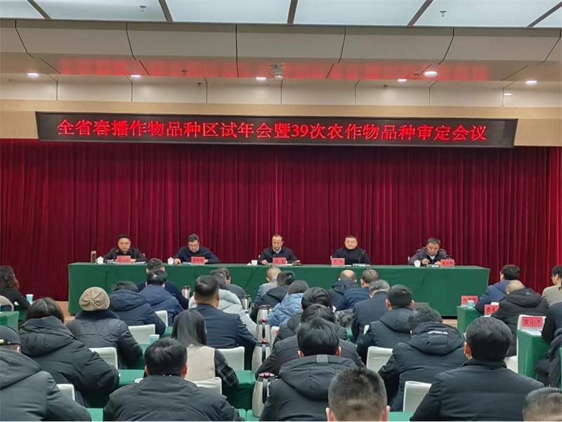 图片11.png