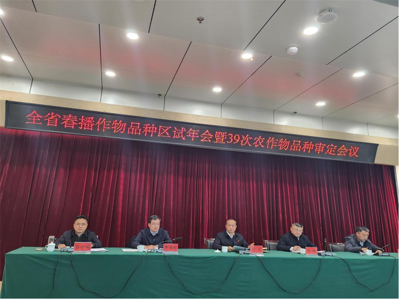 图片12.png