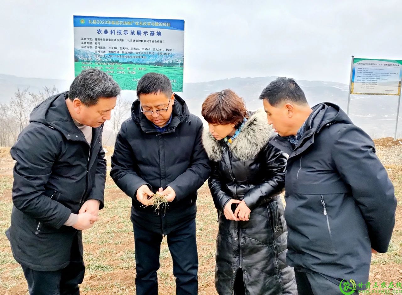 微信图片_20240301090923111.jpg