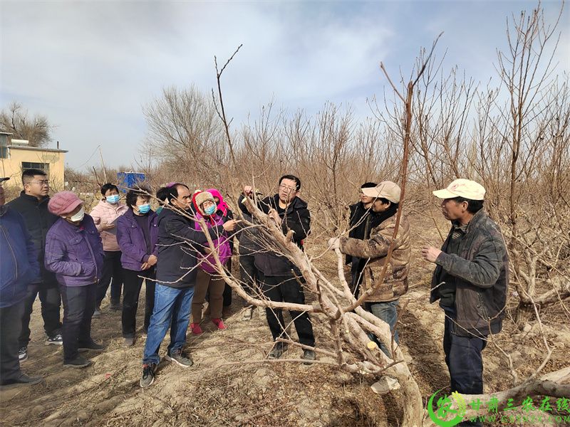 微信图片_20240306104808.jpg
