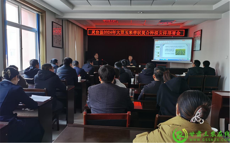 图片1.png881.png