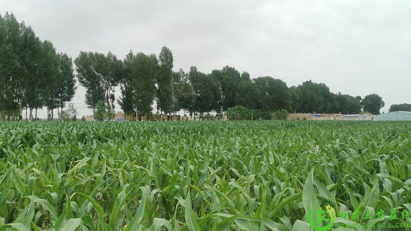 IMG_20210622_171458.jpg