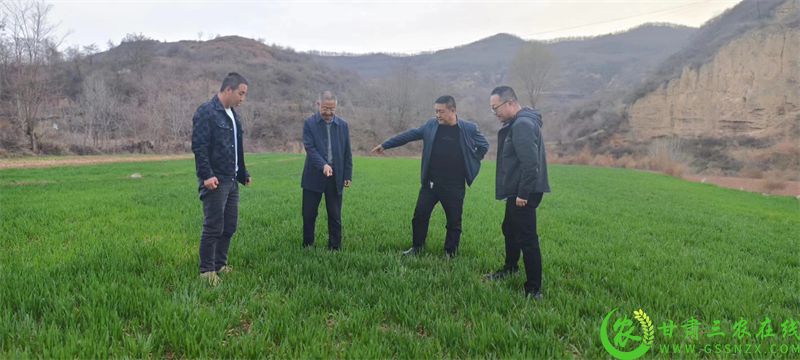 微信图片_20240327233720.jpg