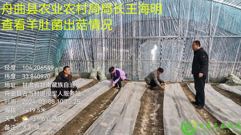 图片8.png