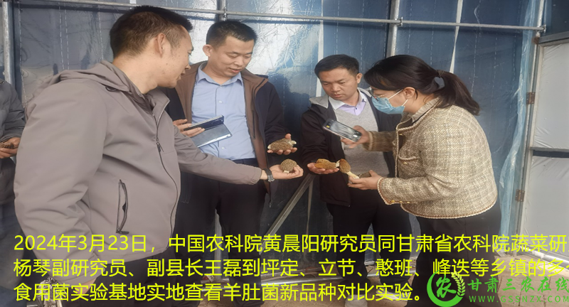 图片6.png