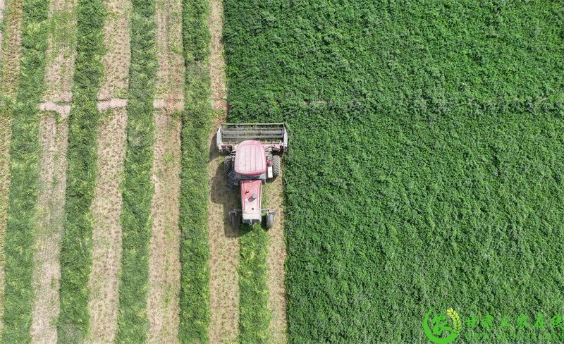 DJI_0445.JPG