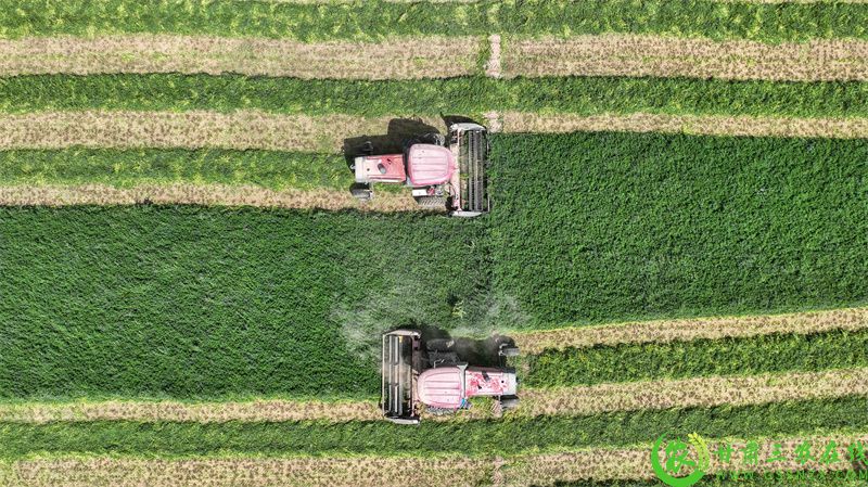 DJI_0466.JPG